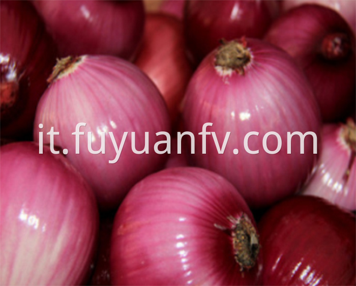 red onion